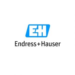 logo endress hauser